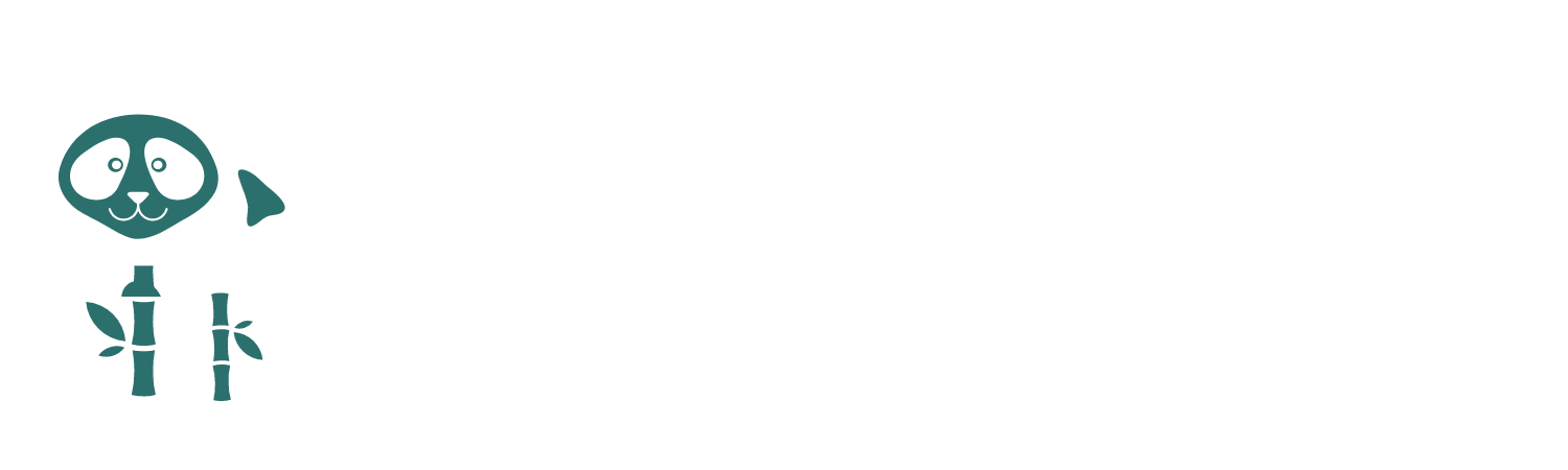 Travel China Solo